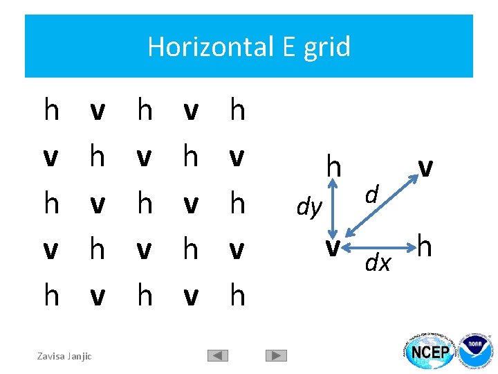Horizontal E grid h v h v h v Zavisa Janjic h v h