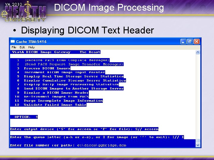 DICOM Image Processing • Displaying DICOM Text Header 