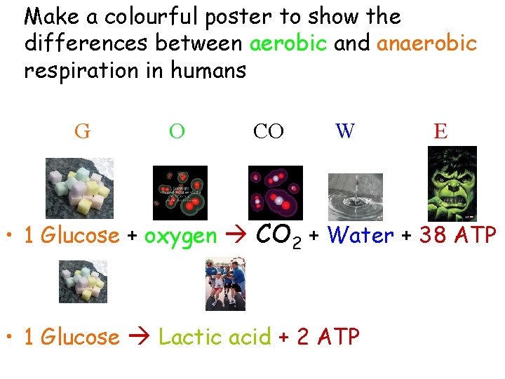 Make a colourful poster to show the differences between aerobic and anaerobic respiration in