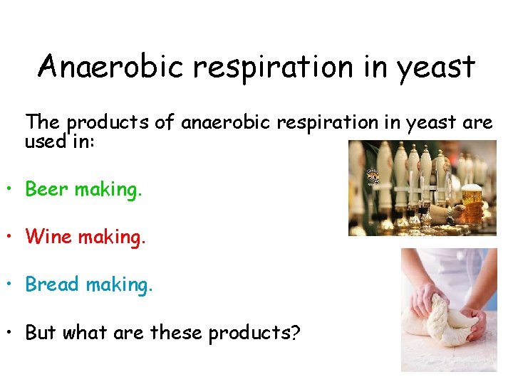 Anaerobic respiration in yeast The products of anaerobic respiration in yeast are used in: