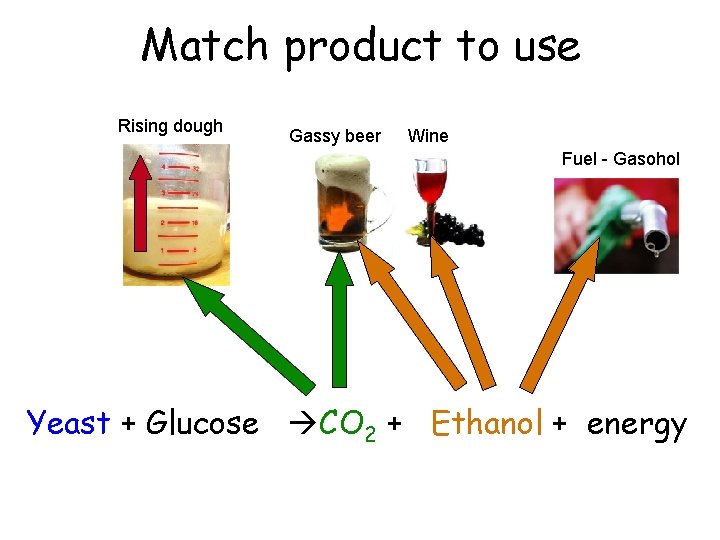 Match product to use Rising dough Gassy beer Wine Fuel - Gasohol Yeast +
