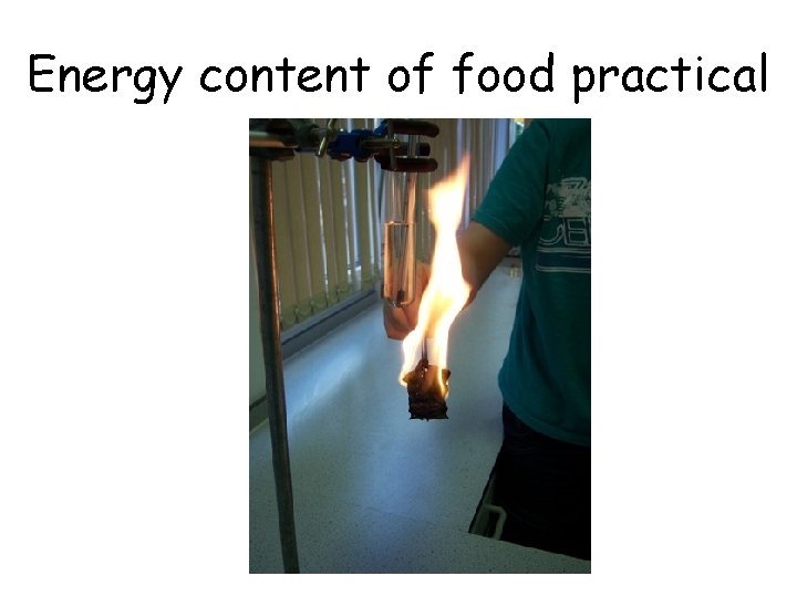 Energy content of food practical 