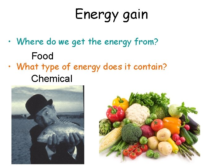 Energy gain • Where do we get the energy from? Food • What type