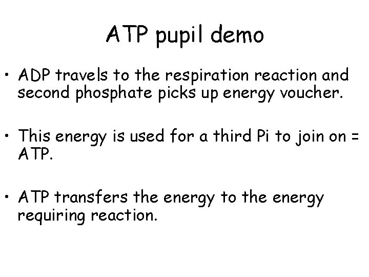 ATP pupil demo • ADP travels to the respiration reaction and second phosphate picks