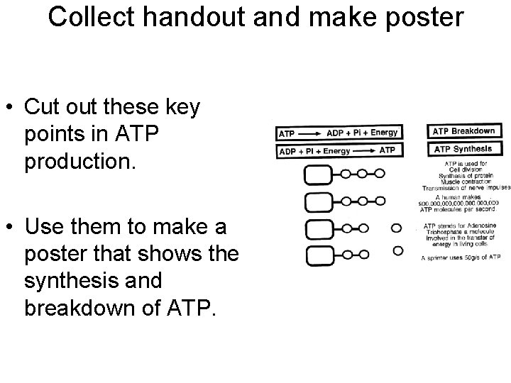 Collect handout and make poster • Cut out these key points in ATP production.