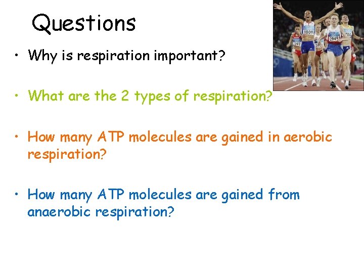 Questions • Why is respiration important? • What are the 2 types of respiration?