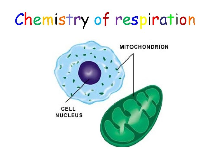 Chemistry of respiration 