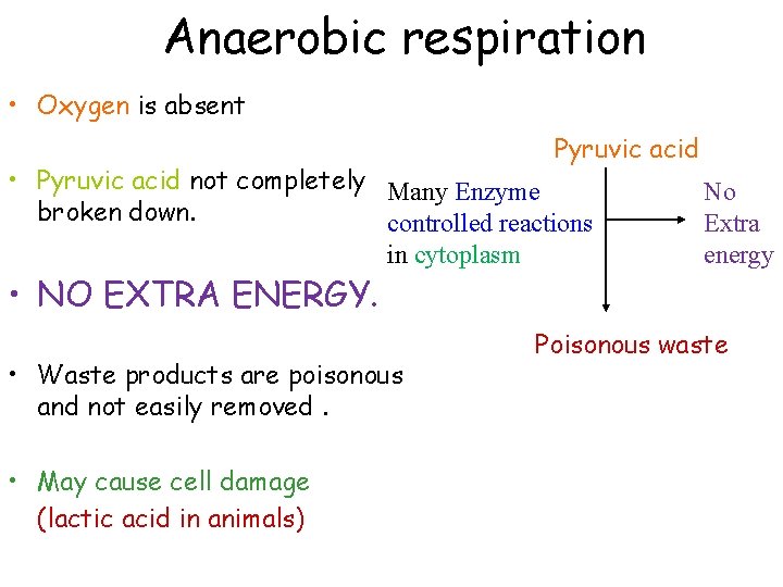 Anaerobic respiration • Oxygen is absent Pyruvic acid • Pyruvic acid not completely Many