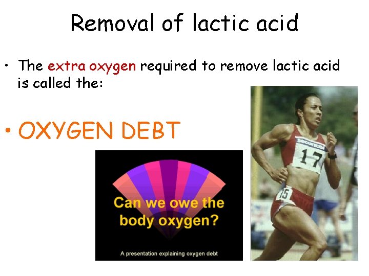 Removal of lactic acid • The extra oxygen required to remove lactic acid is