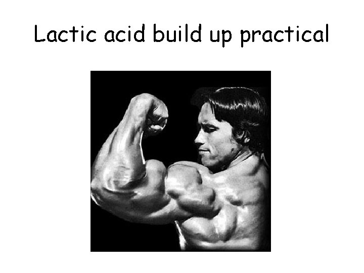 Lactic acid build up practical 
