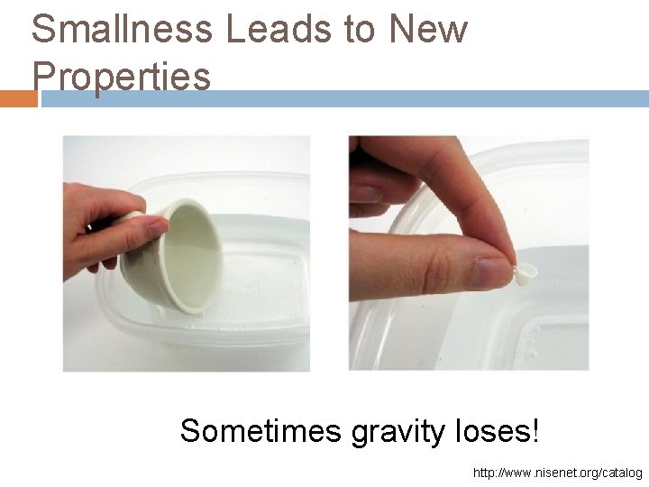 Smallness Leads to New Properties Sometimes gravity loses! http: //www. nisenet. org/catalog 