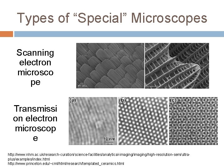 Types of “Special” Microscopes Scanning electron microsco pe Transmissi on electron microscop e http: