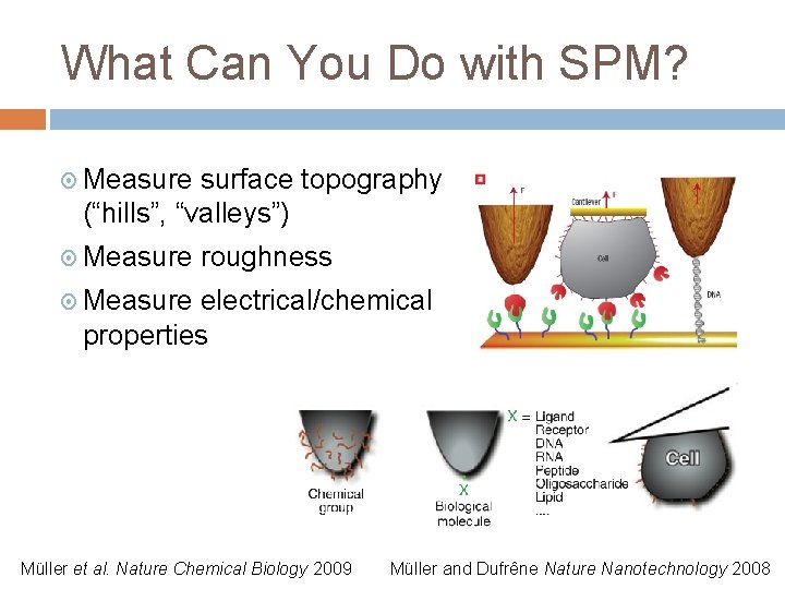 What Can You Do with SPM? Measure surface topography (“hills”, “valleys”) Measure roughness Measure