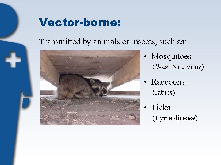 Vector-borne: Transmitted by animals or insects, such as: • Mosquitoes (West Nile virus) •