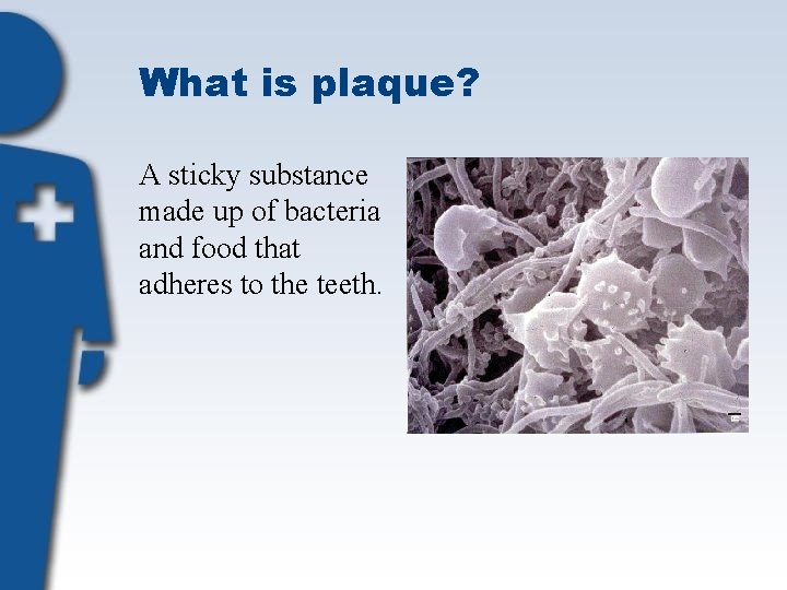 What is plaque? A sticky substance made up of bacteria and food that adheres