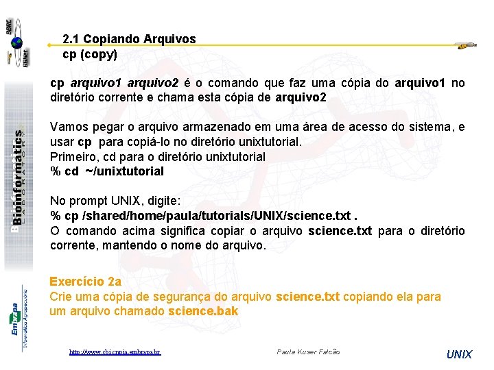 2. 1 Copiando Arquivos cp (copy) cp arquivo 1 arquivo 2 é o comando