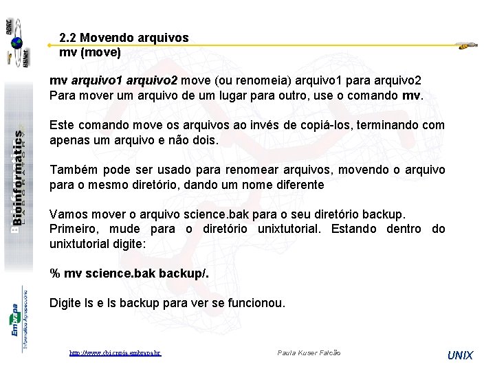 2. 2 Movendo arquivos mv (move) mv arquivo 1 arquivo 2 move (ou renomeia)