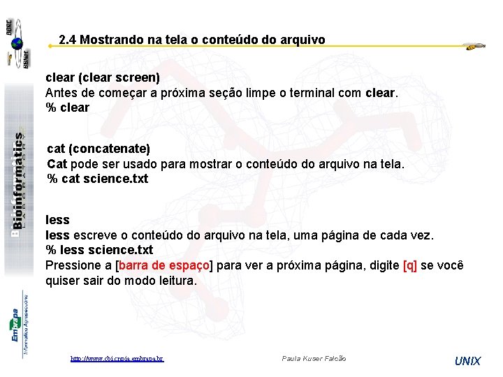 2. 4 Mostrando na tela o conteúdo do arquivo clear (clear screen) Antes de