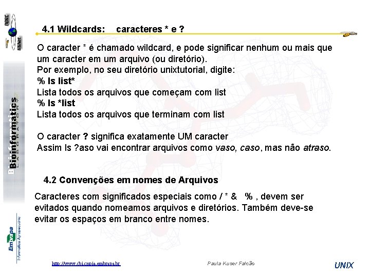 4. 1 Wildcards: caracteres * e ? O caracter * é chamado wildcard, e