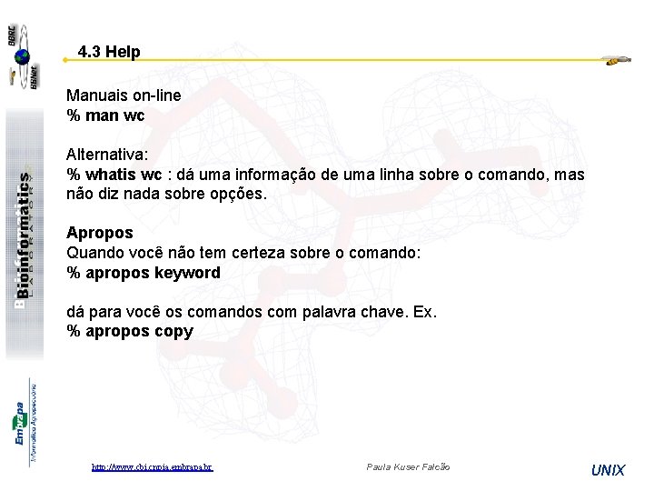 4. 3 Help Manuais on-line % man wc Alternativa: % whatis wc : dá