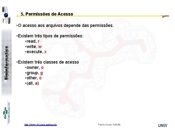 5. Permissões de Acesso • O acesso aos arquivos depende das permissões. • Existem