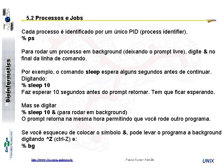 5. 2 Processos e Jobs Cada processo é identificado por um único PID (process