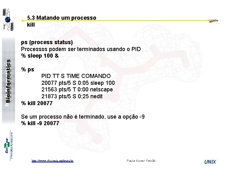 5. 3 Matando um processo kill ps (process status) Processos podem ser terminados usando