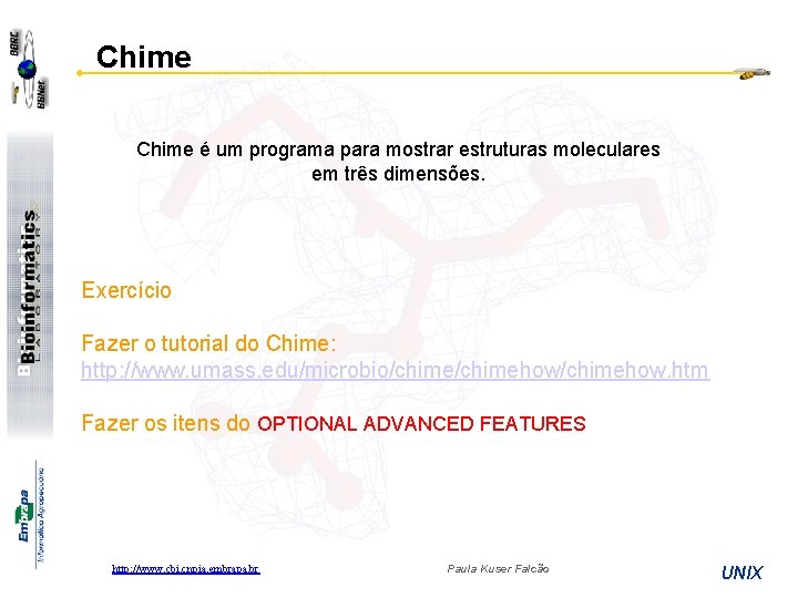 Chime é um programa para mostrar estruturas moleculares em três dimensões. Exercício Fazer o