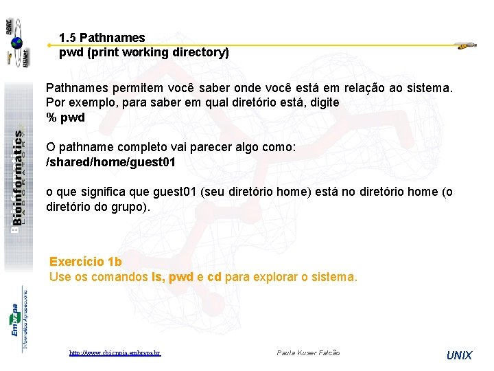 1. 5 Pathnames pwd (print working directory) Pathnames permitem você saber onde você está