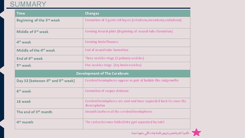 SUMMARY Time Changes Beginning of the 3 rd week Formation of 3 germ cell