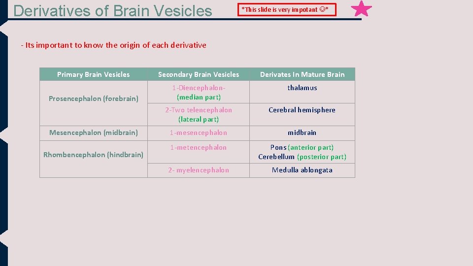 Derivatives of Brain Vesicles *This slide is very impotant * - Its important to