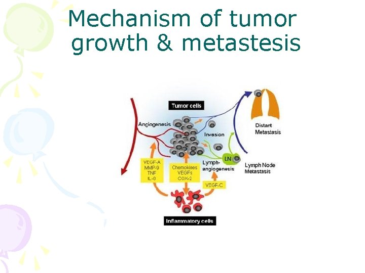 Mechanism of tumor growth & metastesis 