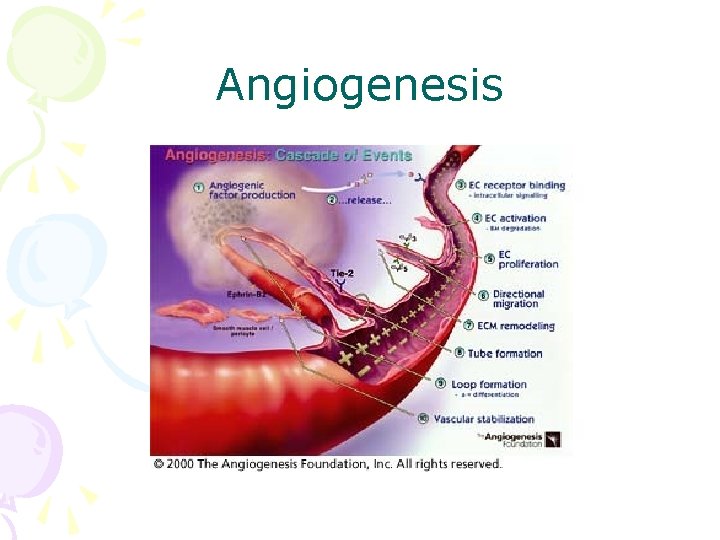 Angiogenesis 