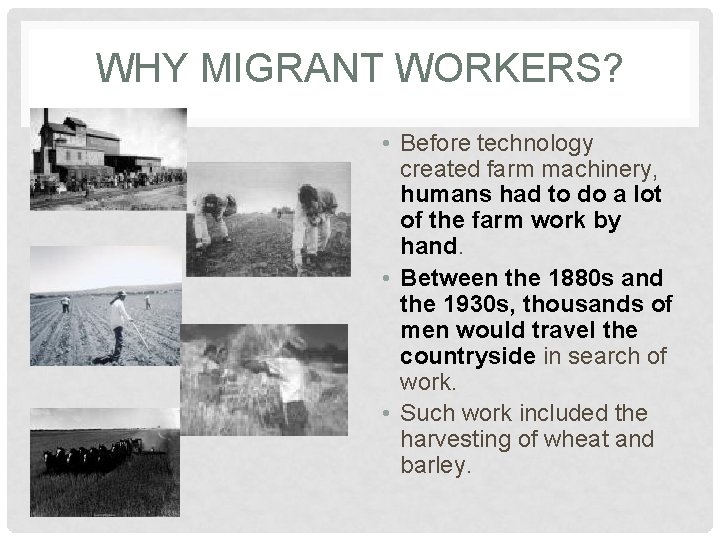 WHY MIGRANT WORKERS? • Before technology created farm machinery, humans had to do a