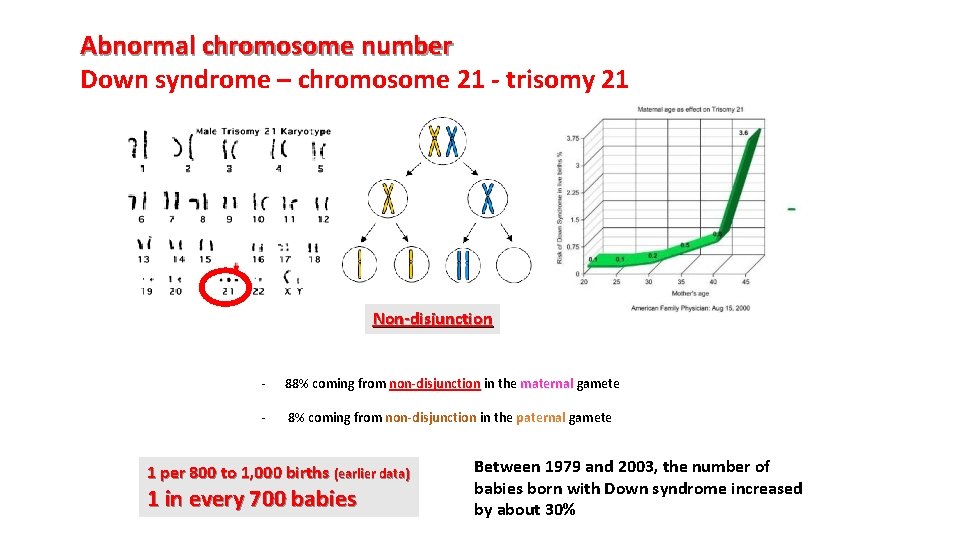 Abnormal chromosome number Down syndrome – chromosome 21 - trisomy 21 Non-disjunction - 88%