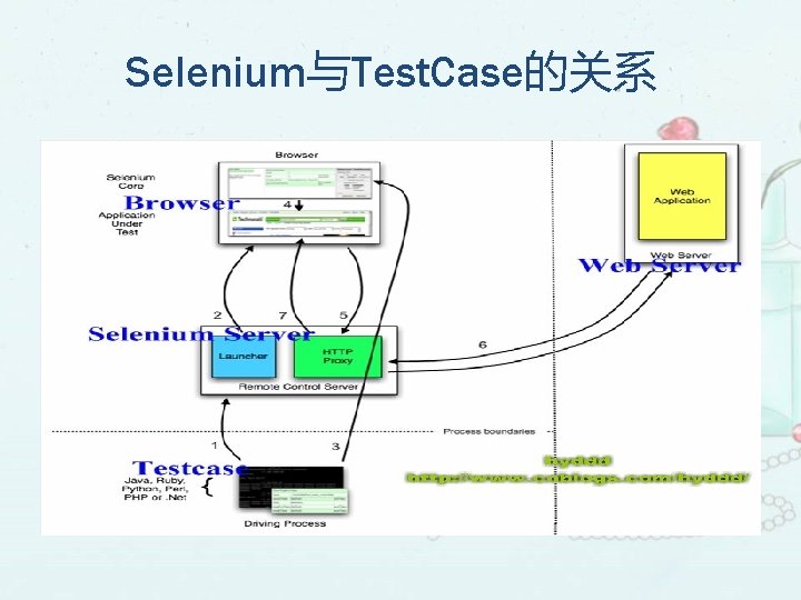 Selenium与Test. Case的关系 