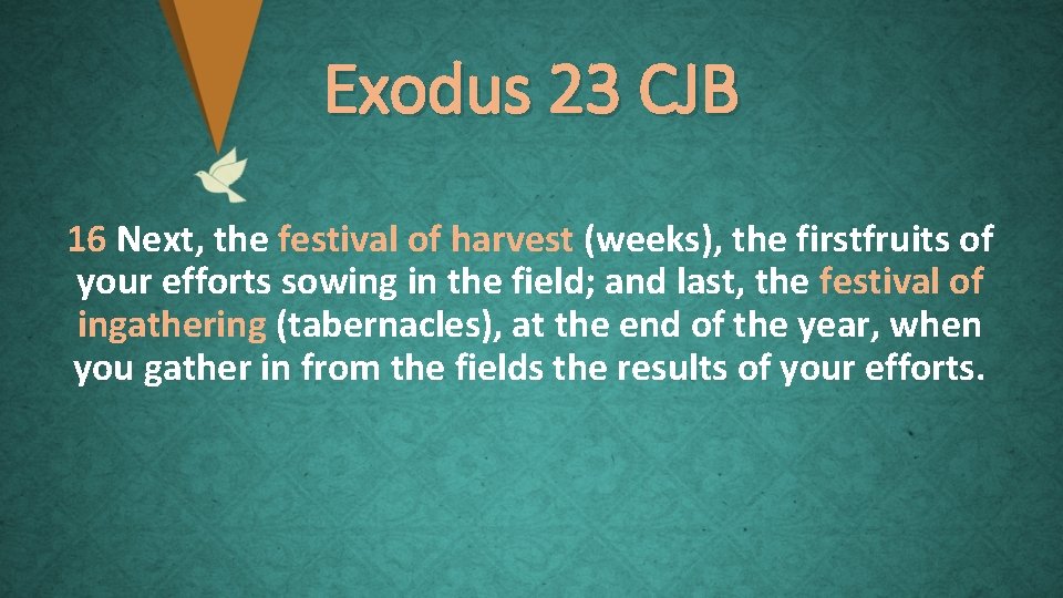 Exodus 23 CJB 16 Next, the festival of harvest (weeks), the firstfruits of your