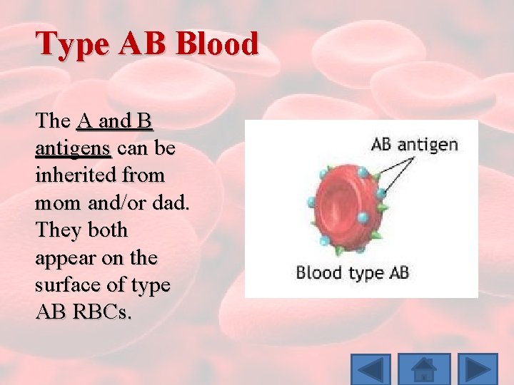 Type AB Blood The A and B antigens can be inherited from mom and/or