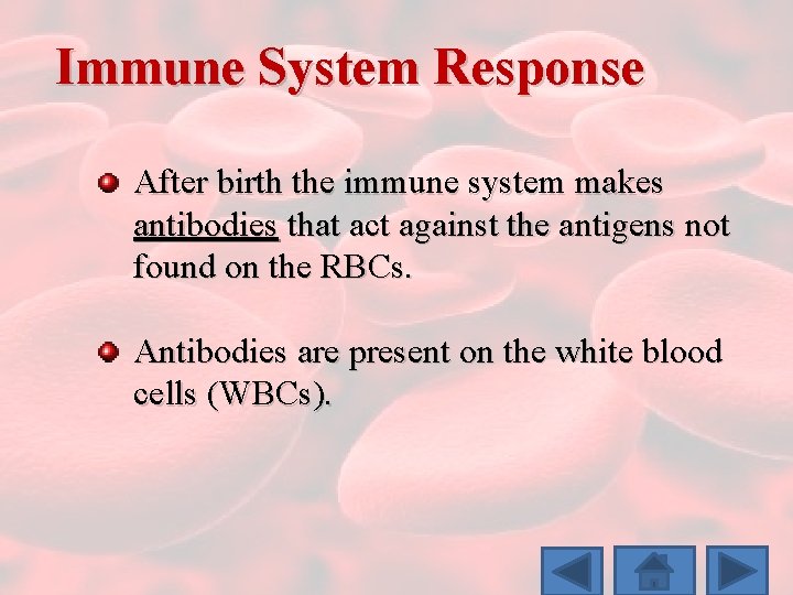 Immune System Response After birth the immune system makes antibodies that act against the