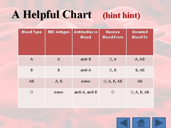 A Helpful Chart (hint) Blood Type RBC Antigen Antibodies in Blood Receive Blood From