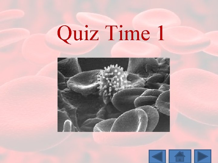 Quiz Time 1 