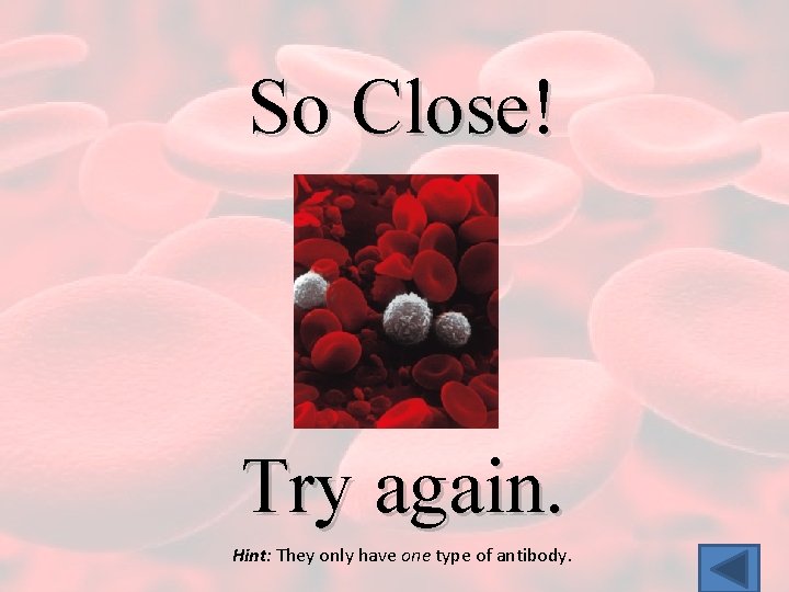 So Close! Try again. Hint: They only have one type of antibody. 