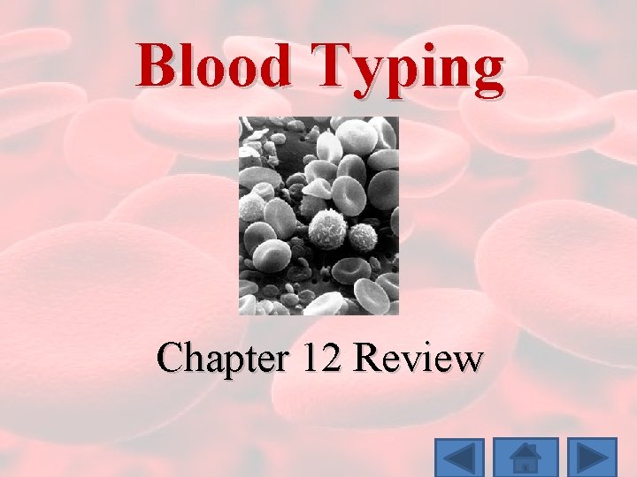 Blood Typing Chapter 12 Review 