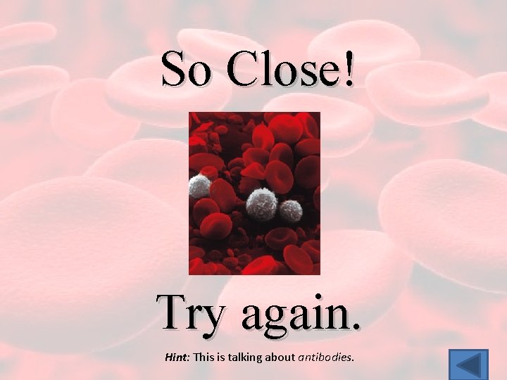 So Close! Try again. Hint: This is talking about antibodies. 