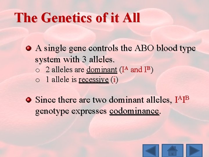 The Genetics of it All A single gene controls the ABO blood type system