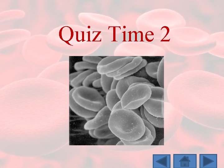 Quiz Time 2 