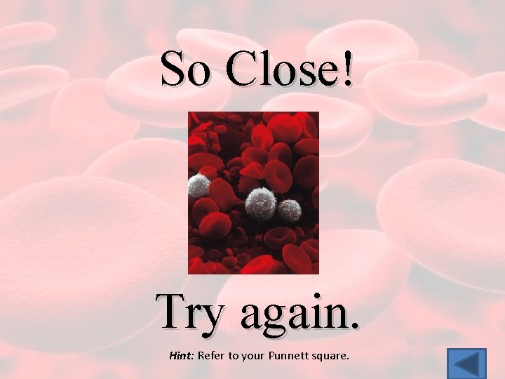 So Close! Try again. Hint: Refer to your Punnett square. 