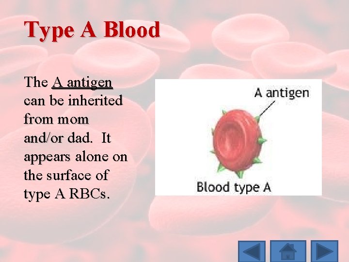 Type A Blood The A antigen can be inherited from mom and/or dad. It