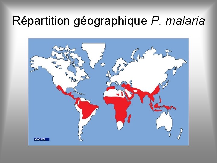 Répartition géographique P. malaria 