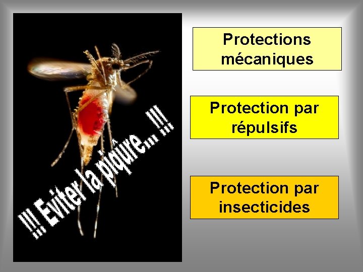 Protections mécaniques Protection par répulsifs Protection par insecticides 